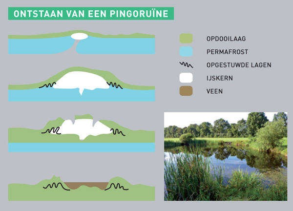 factsheet-pingo-pingoruine